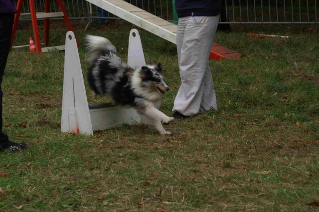 foire-haricots 2011-09-17et18
